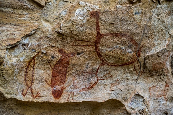 Rock art painting at Pedra Furada