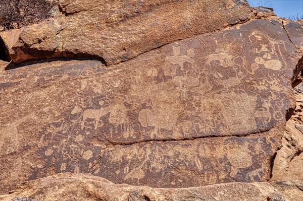 Rock engravings