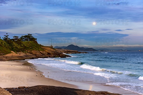 Seagulls resting on the beach at dusk with the moon hovering over the Ipanema Sea