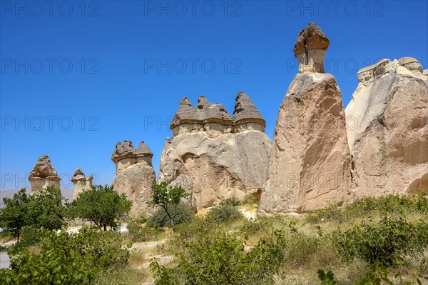 Typical and inhabited rock formations in the Cappadocia region of Turkey with blue sky and vegetation