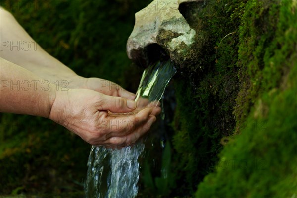 Woman catching water with her hands in a spring of crystal clear water covered with moss and ferns in the forest