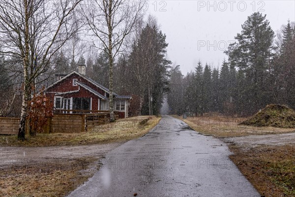 Lonely Swedish house in driving snow