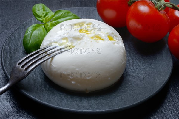 Burrata