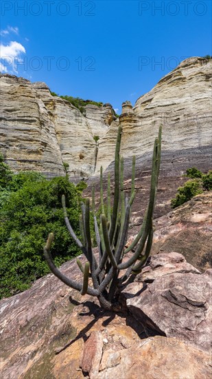 Sandstone cliffs at Pedra Furada