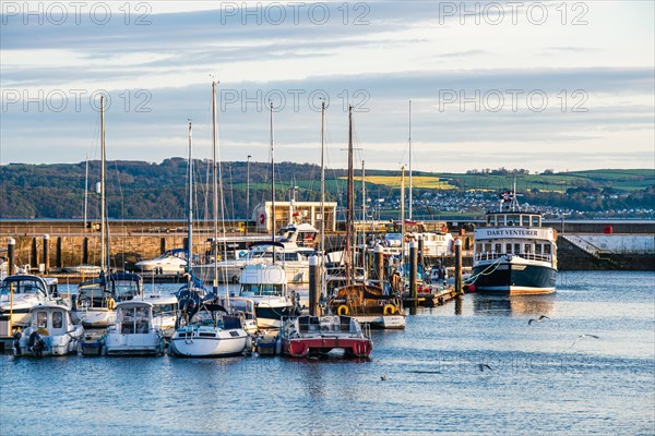 Yachts in Marina