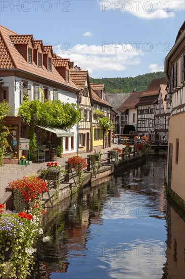 The water alley with the river Queich