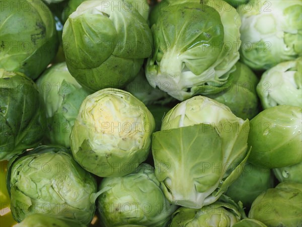 Brussels sprout cabbage vegetables food