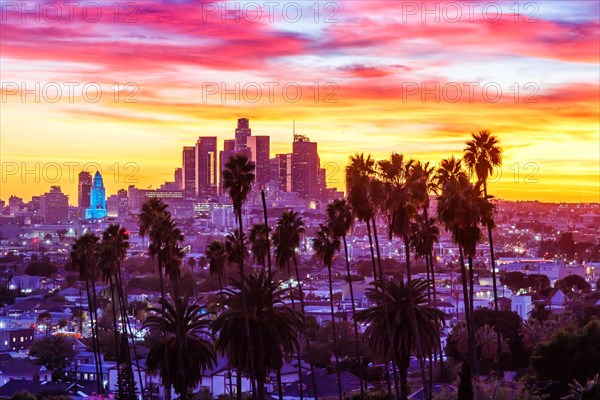 View of Downtown Los Angeles Skyline with Palm Trees at Sunset in California in Los Angeles