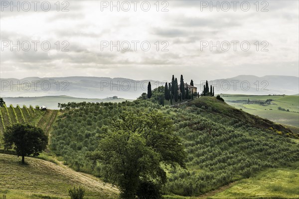 Farmhouse and cypresses