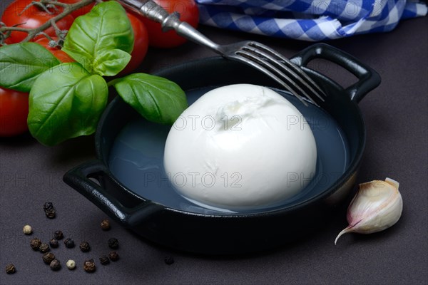 Burrata