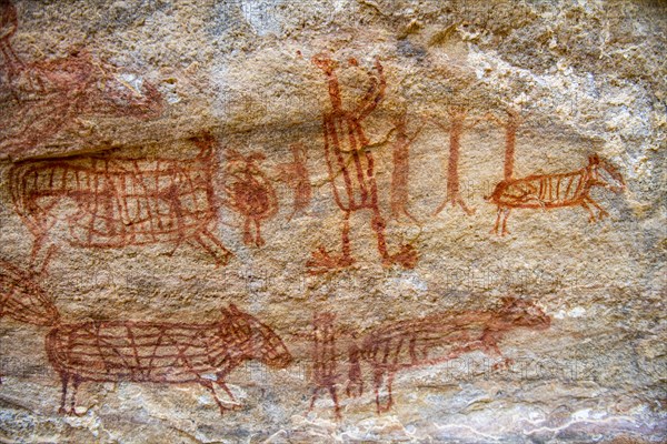 Rock art painting at Pedra Furada