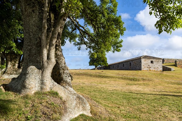 Fort of Santa Teresa