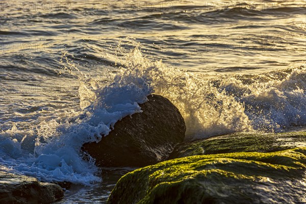 Water and sea foam splashing with waves crash against rocks during tropical sunset