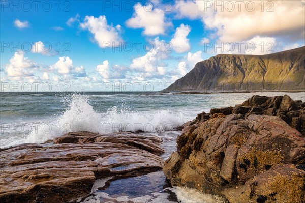 Fjord landscape in summer