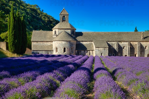 Monastery