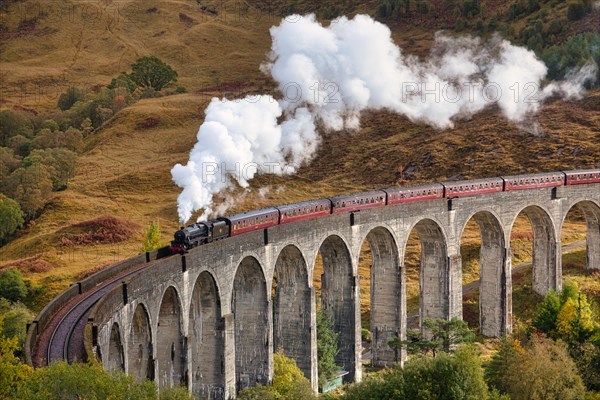 Glenfinnan Viaduct with steam locomotive