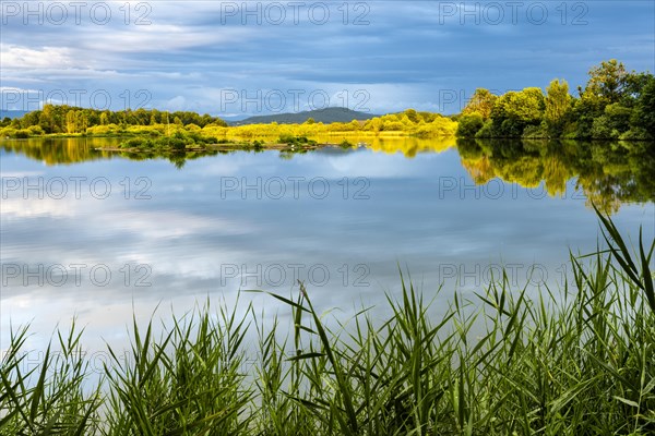 The Great Roetelsee Pond in the Roetelseeweiher bird sanctuary in the evening at golden hour under a cloudy sky. The sky is reflected in the calm lake surface. Cham