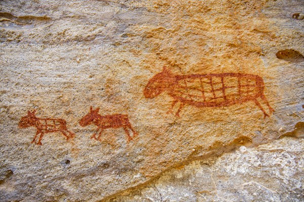 Rock art painting at Pedra Furada