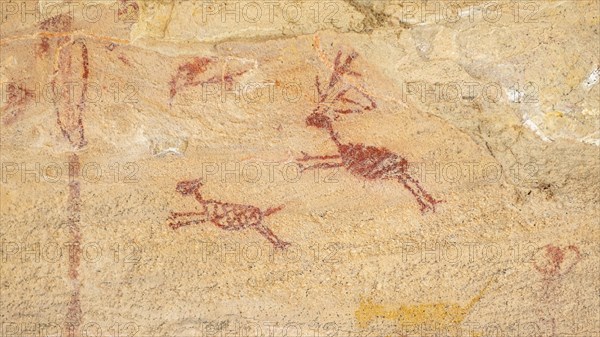 Rock art painting at Pedra Furada