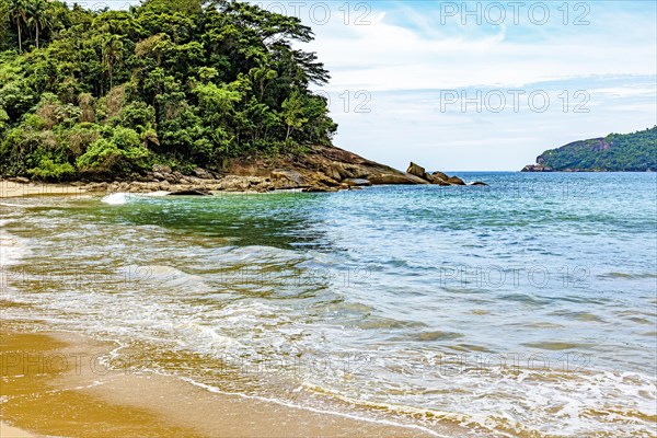 Dense vegetation of the tropical forest by the sea of transparent waters in Trindade on the south coast of Rio de Janeiro
