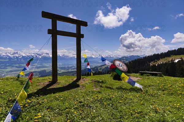 Torii on the Baerenkoepfle