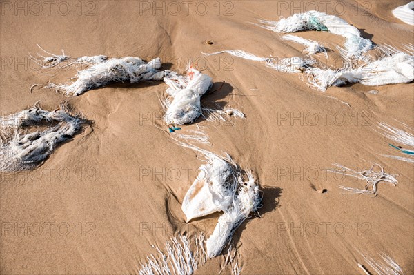 Beach pollution