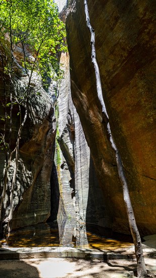 Overhanging cliffs at Pedra Furada