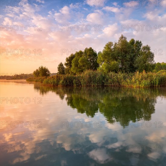 Clear calm lake with reed belt in the first morning light