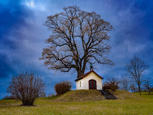 The journeyman's chapel under a summer lime tree