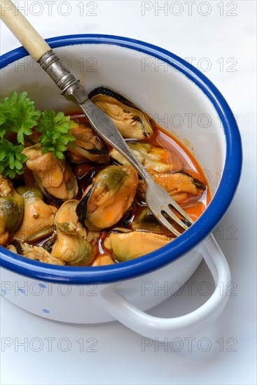 Blue mussel