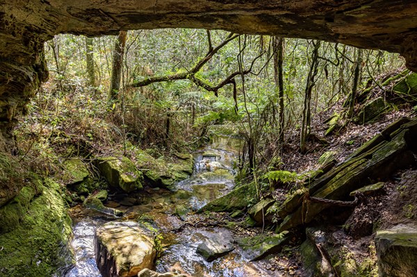 Stone cave interior with small river surrounded by tropical vegetation of Brazilian rainforest