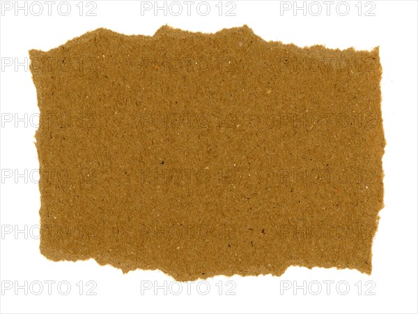 Brown tag label isolated over white