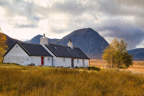 Black Rock Cottages