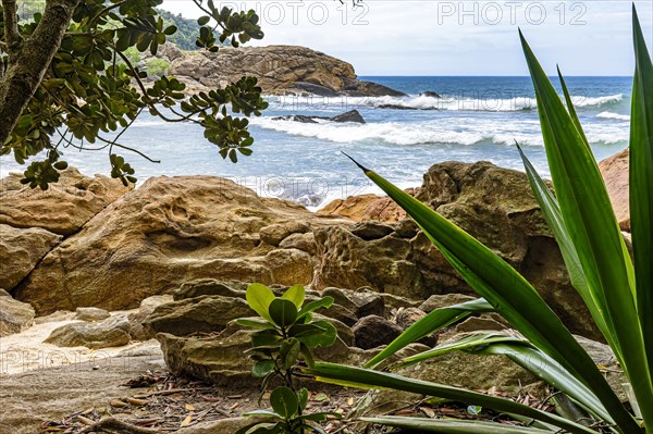 The sea and its waves seen through the vegetation in the Trindade rainforest in Paraty