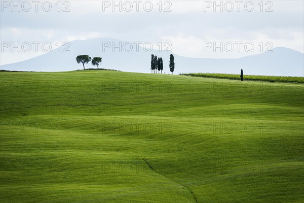 Val d' Orcia