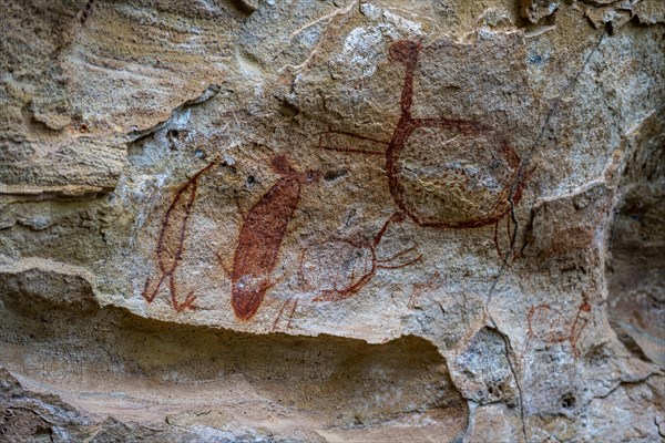 Rock art painting at Pedra Furada