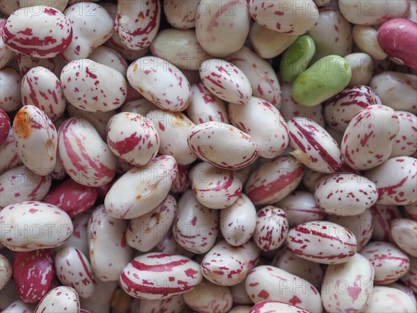 Crimson beans legumes vegetables