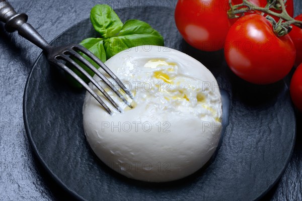 Burrata