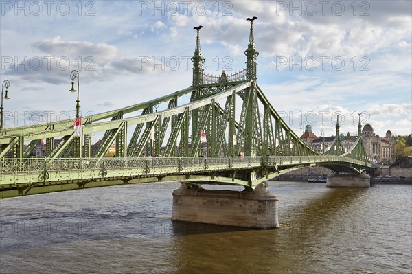 Freedom Bridge