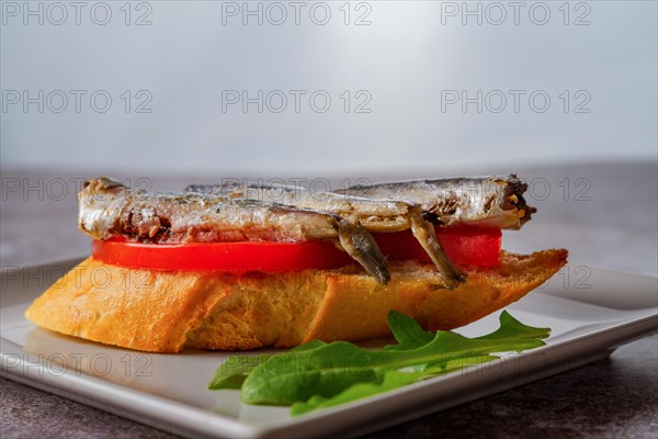 Tapa of sardines on a slice of bread with tomato and olives on a white plate with a typical spanish white background