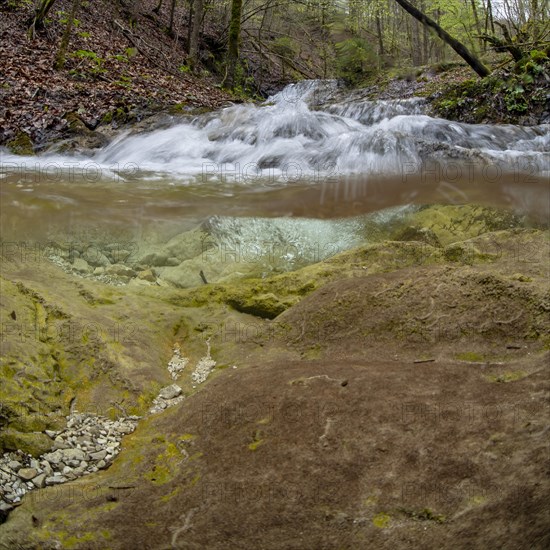 Forest stream with waterfall in the UNESCO World Heritage Beech Forest in the Limestone Alps National Park