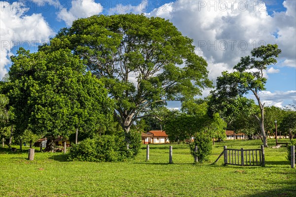 Church yard