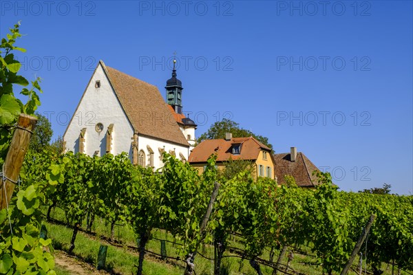 Pilgrimage church Maria im Weingarten