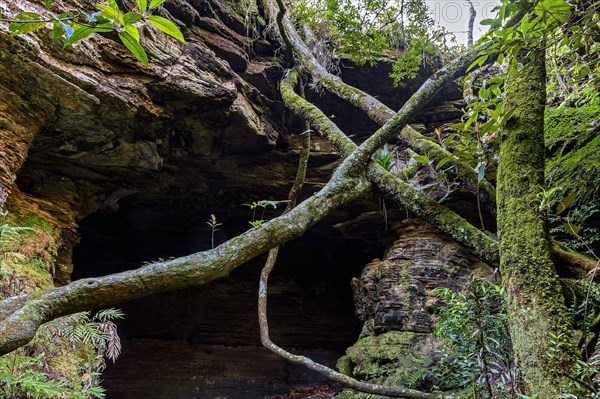 Cave entrance amid the rocks and vegetation of the rainforest in Carrancas state of Minas Gerais