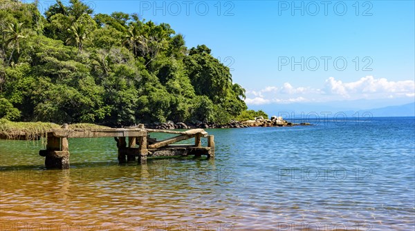 Old pier with th meeting between the rain forest and the clear sea of the Ilha Grande on green coast of Rio de Janeiro
