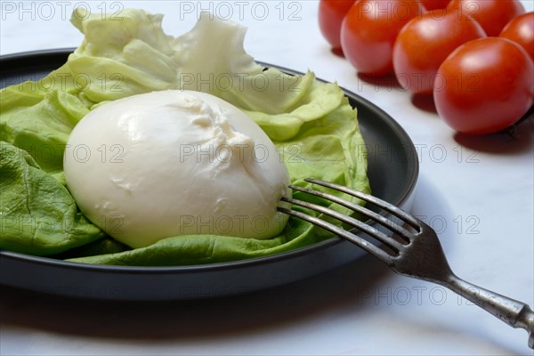 Burrata