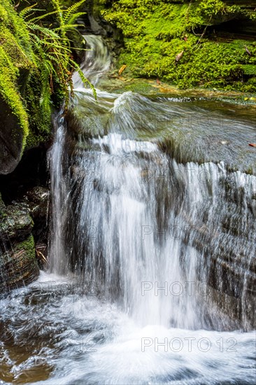 Small waterfall running through the mossy rocks inside the rainforest in the city of Carrancas in Minas Gerais