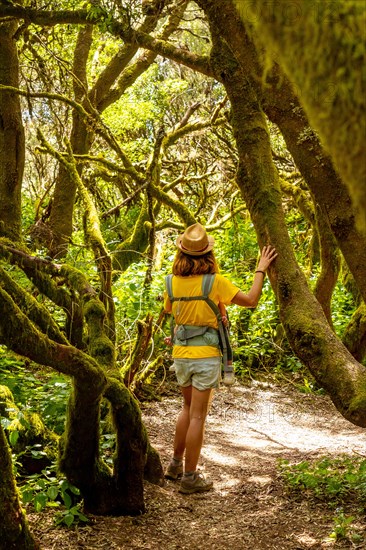 A young girl walking in El Brezal the humid forest park of La Llania in El Hierro