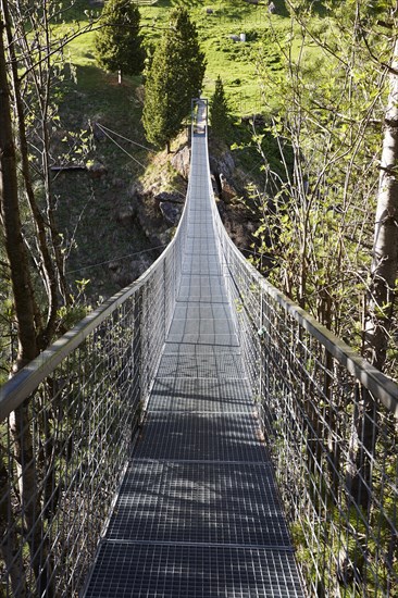 Suspension bridge