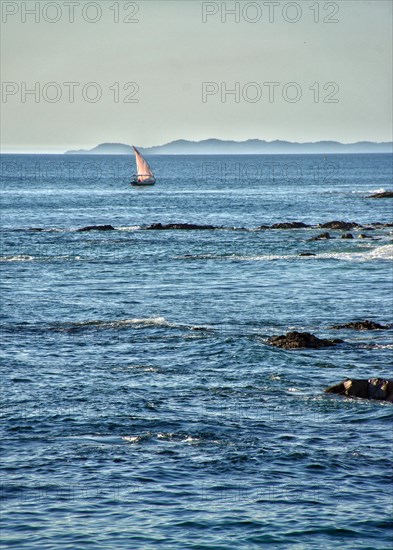 Sailing boat sailing over the waters of the city of Salvador in Bahia during the sunny afternoon